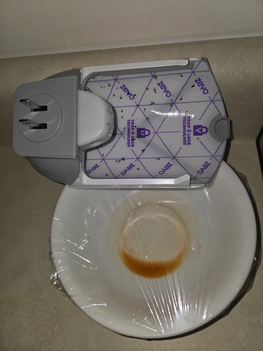 Used Zevo sticky cartridge covered with captured fruit flies beside a vinegar bowl that caught one fly